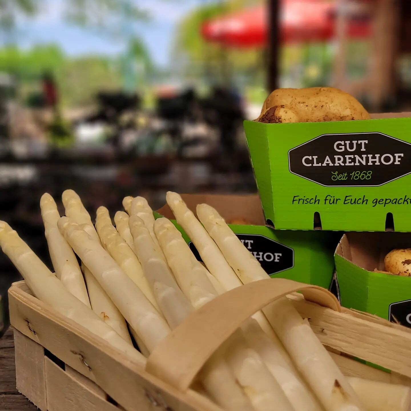 Top Spargel kaufen in Köln | Gut Clarenhof | Mr. Köln | Foto: Gut Clarenhof Top Spargel kaufen in Köln | Gut Clarenhof | Mr. Köln | Foto: Gut Clarenhof